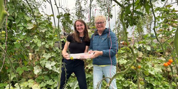 WellFed Cornwall: Better Health Through Local Food